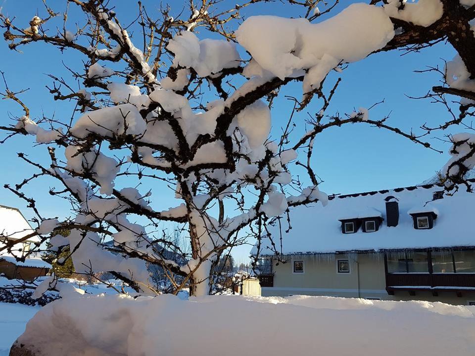 Hotel Tauplitzerhof المظهر الخارجي الصورة